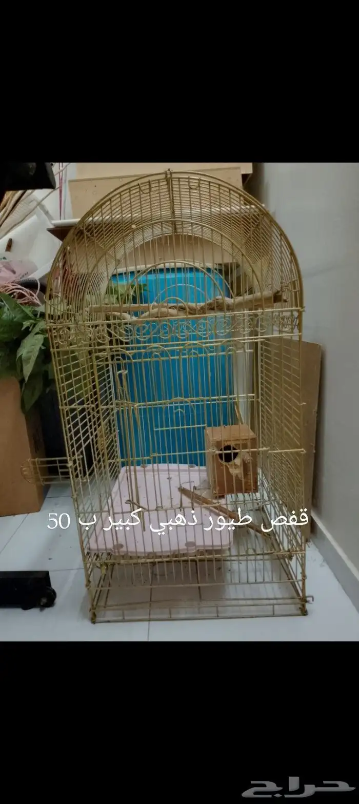 ثلاجة صغيرة كوري بابين 200 3