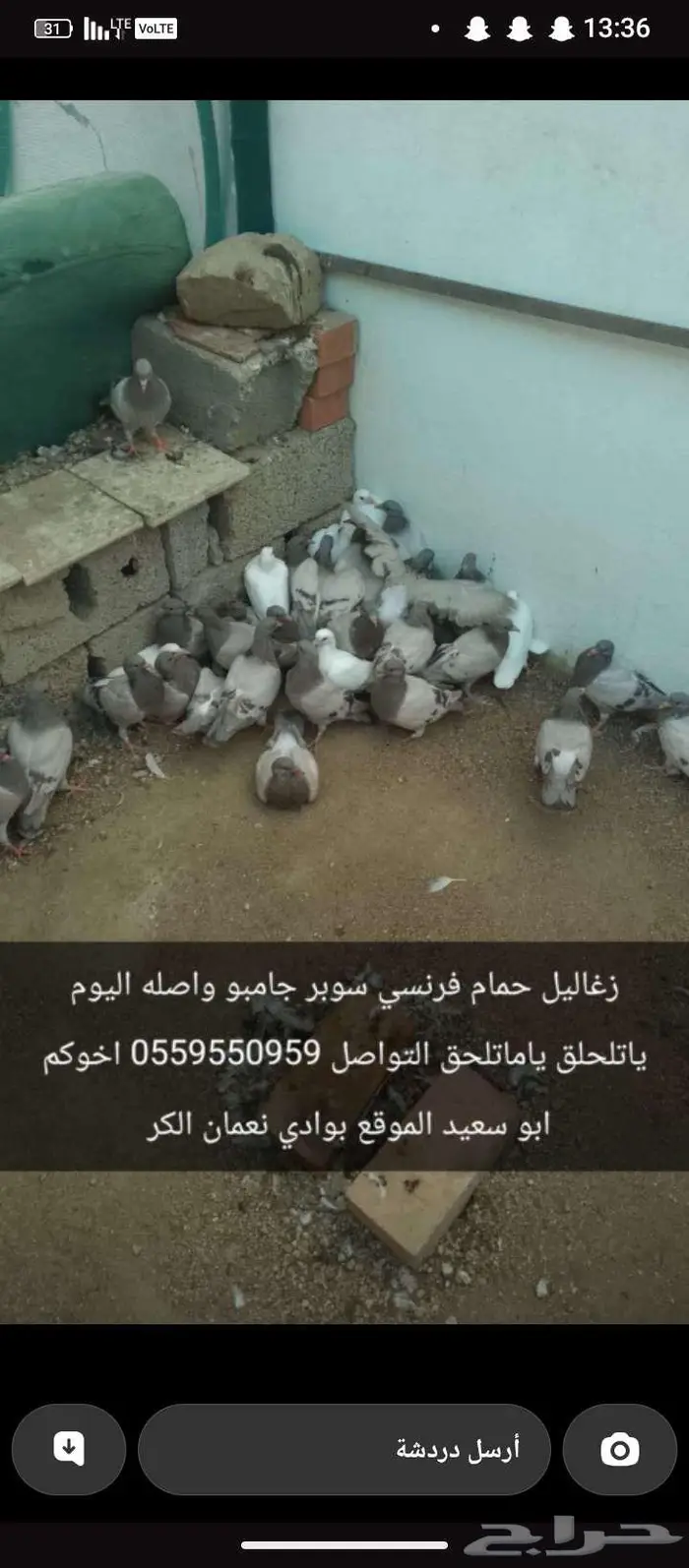 زغالين حمام فرنسي 1
