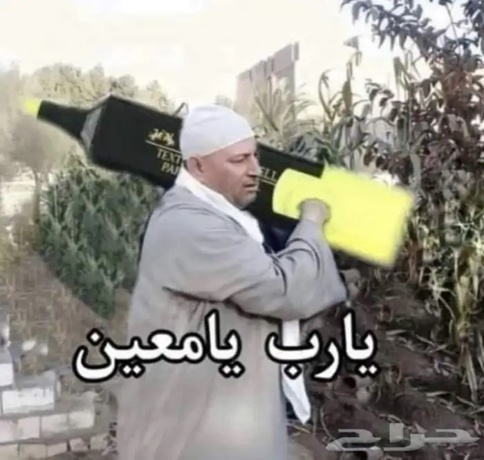 تدقيق لغوي 0
