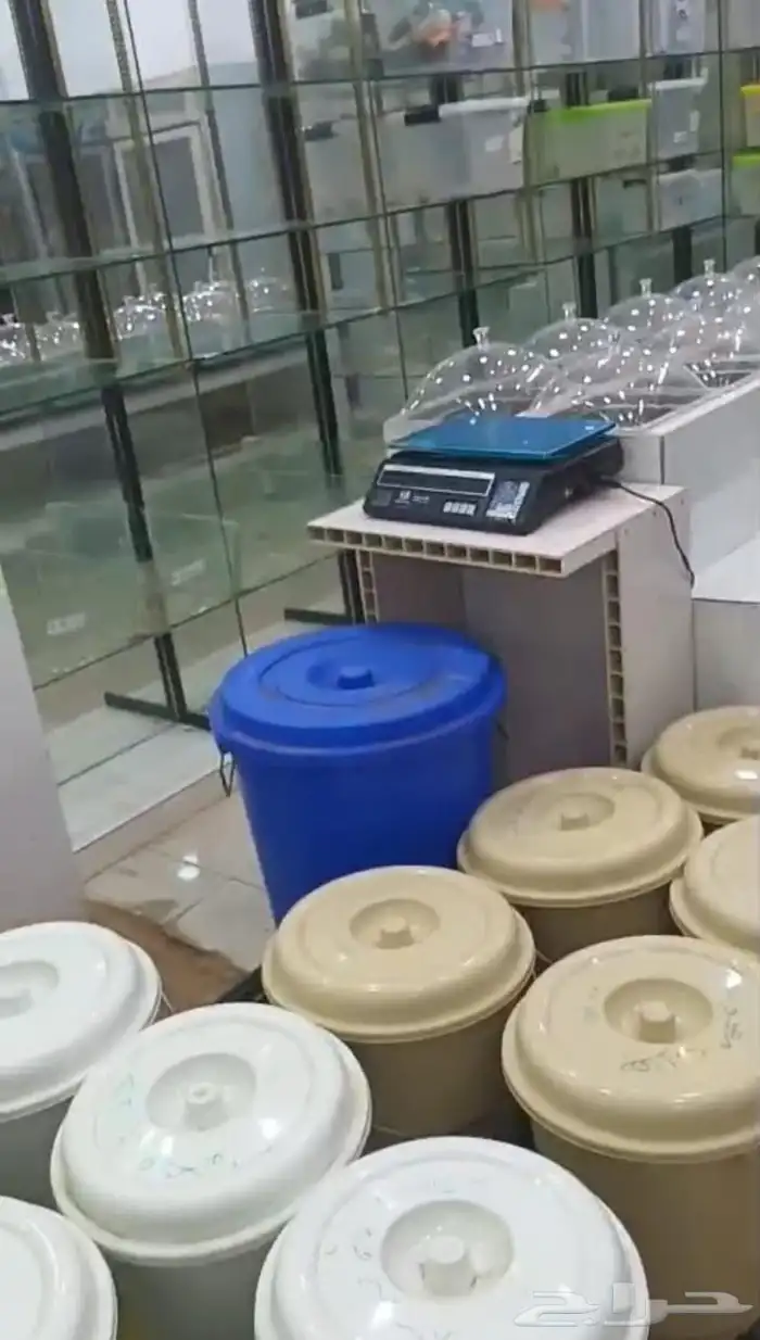 أغراض عطارة للبيع كاملة سطول رفوف زجاج طاولات ميزان كاميرا ت 2