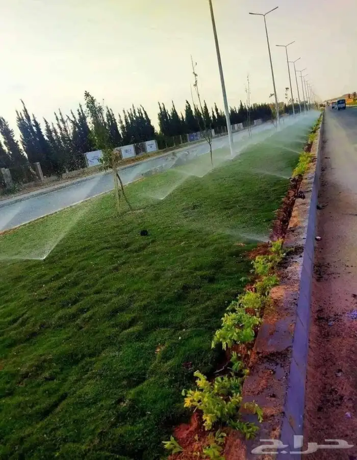 ثيل طبيعي سي 2000 و زرع طبيعي 5