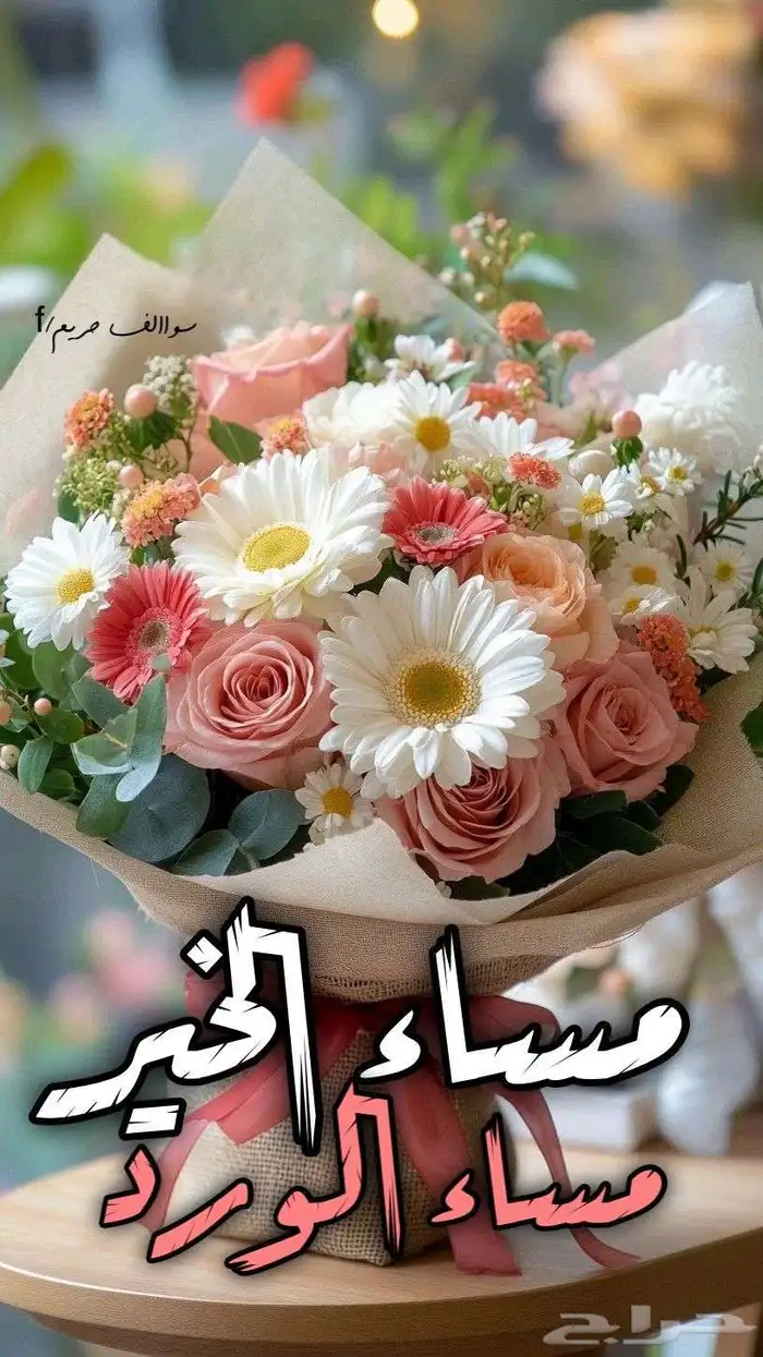معلمة خصوصي 0