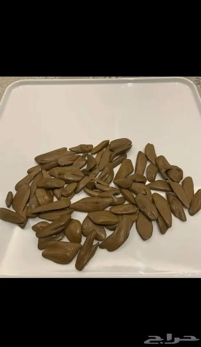 عود مروكي دبل سوبر 0