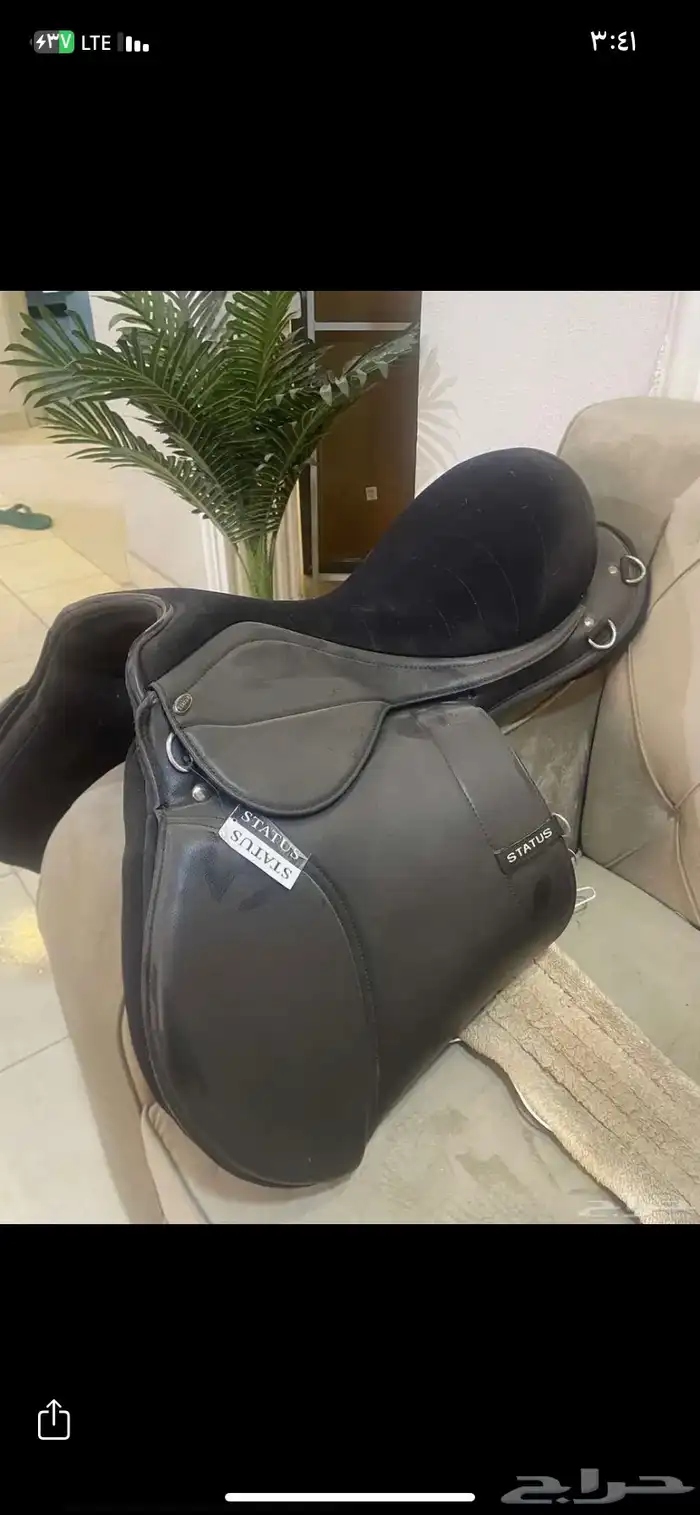 للبيع سرج وصدريه ولجام 0