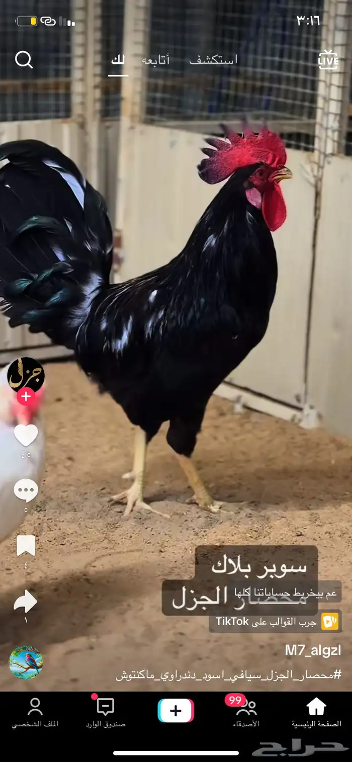 السلام عليكم ورحمة وبركاته 0