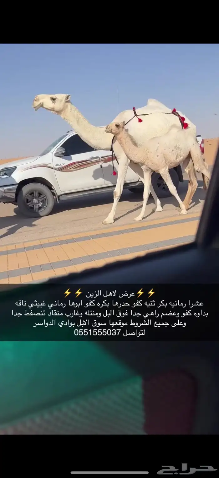 عشرا كفو 1