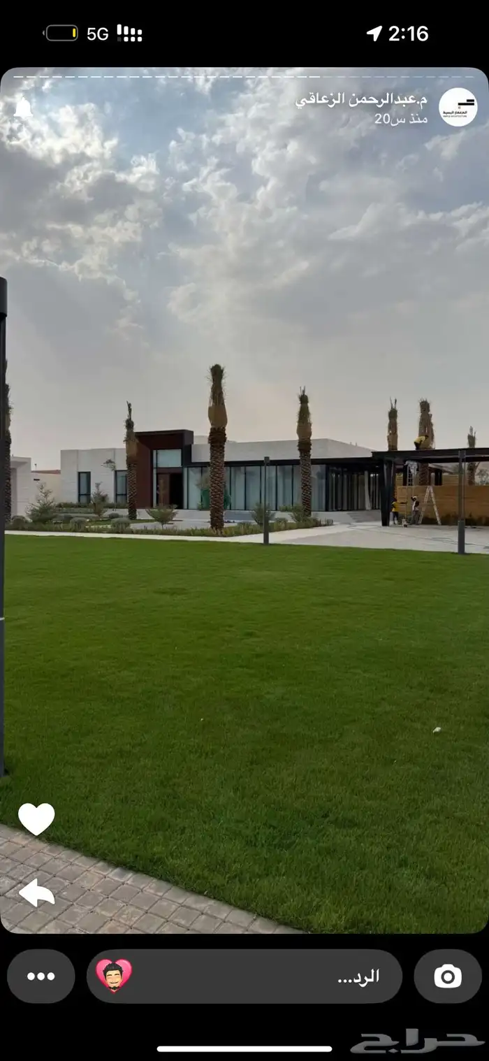 مطلوب اشجار احجام متوسطة الى كبيره 0