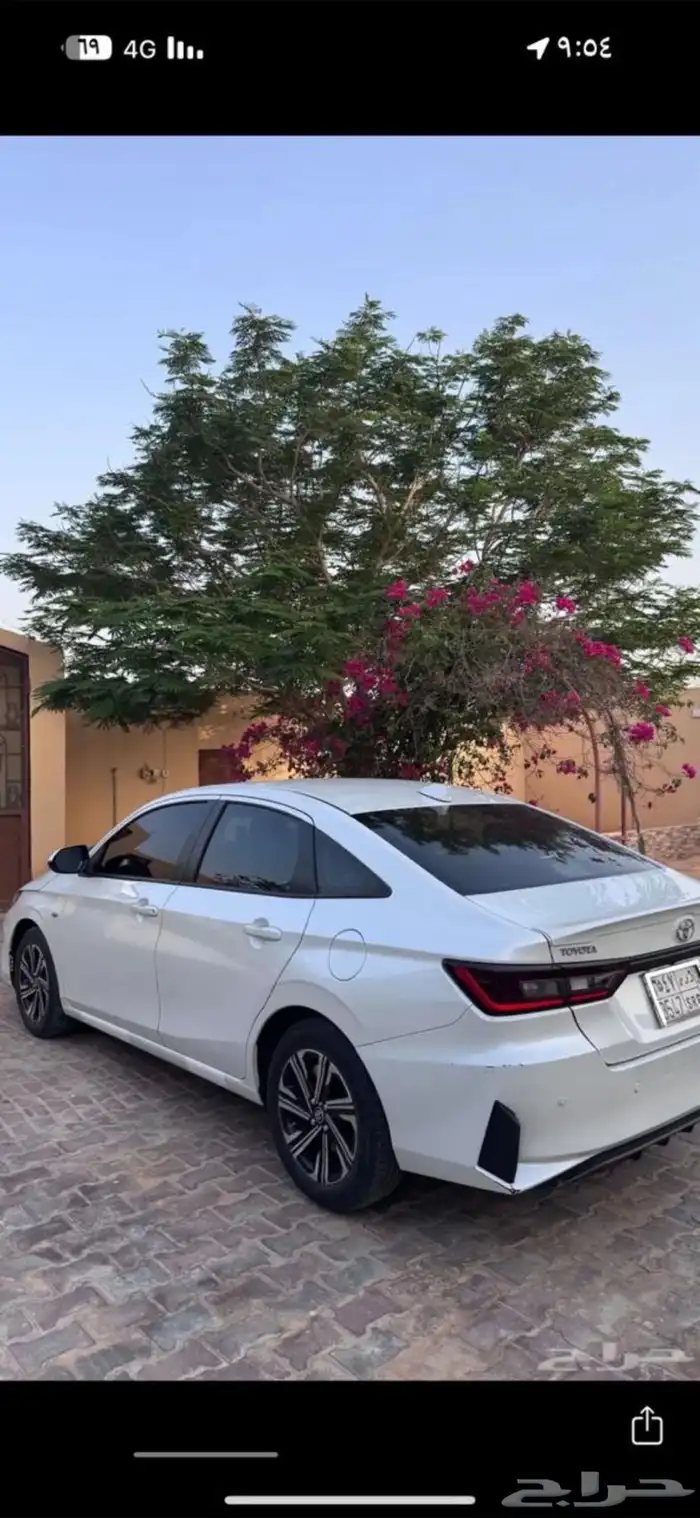 نص فل 1