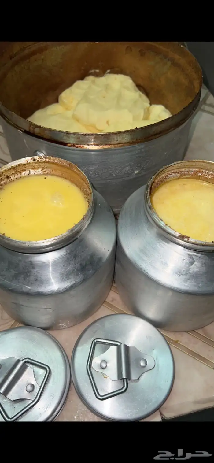 يوجد سمن بقر ومضير الموقع رنيه. 0