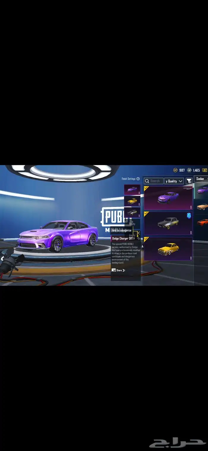 pubg account for sale 11
