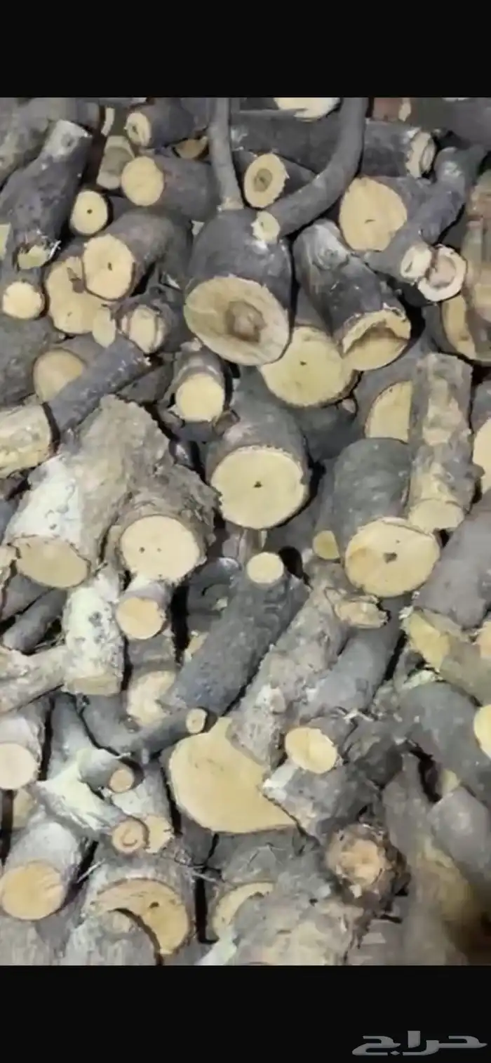 حطب مستورد 0