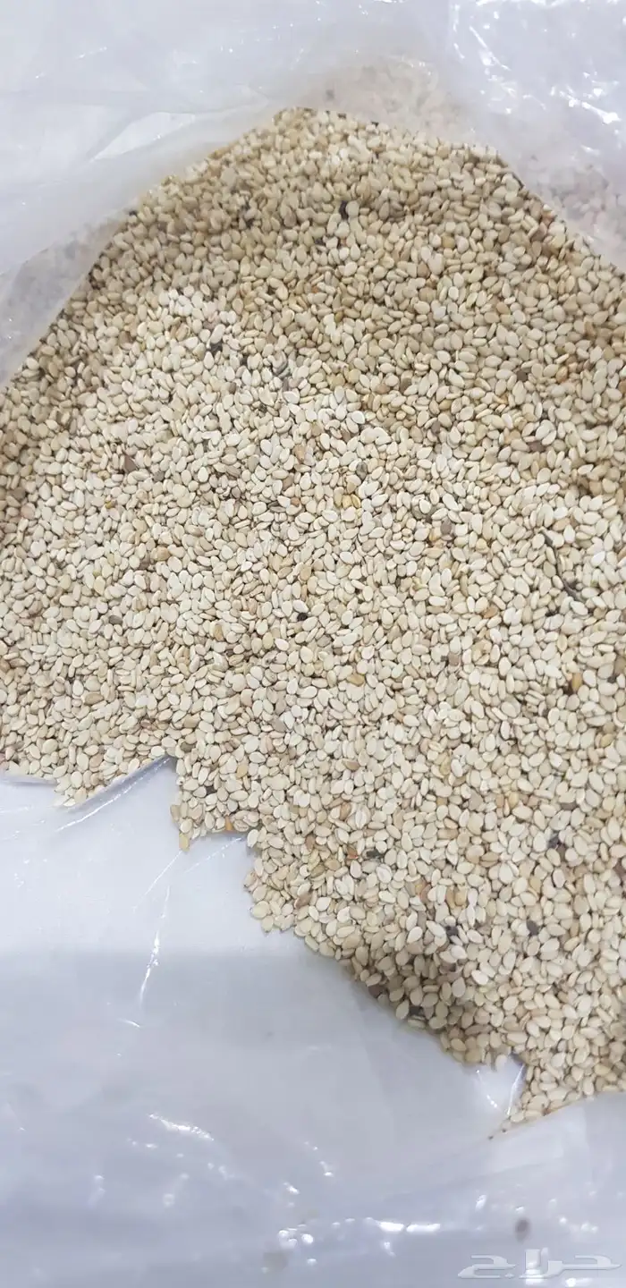 سمسم ابيض للبيع 50 طن 0