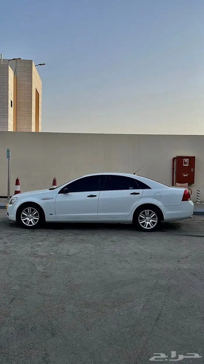 كابرس 2013 3
