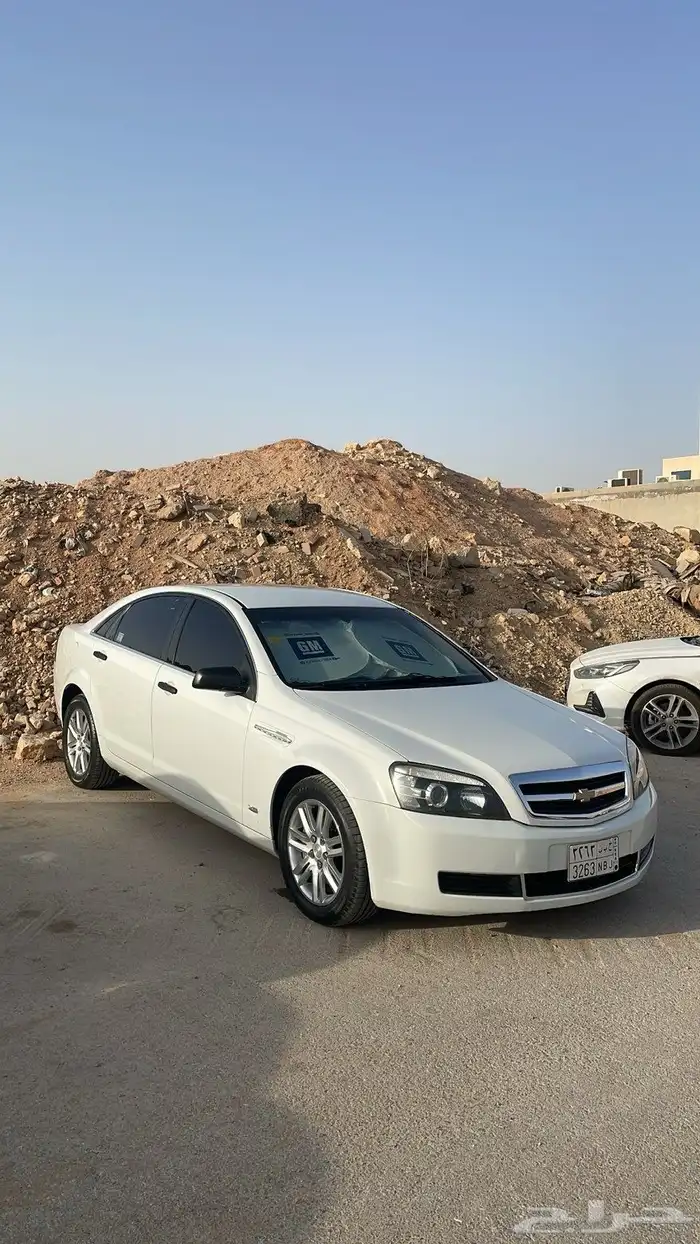 كابرس 2013 6