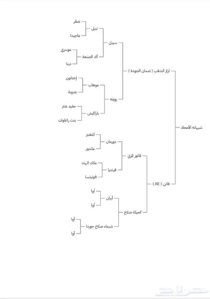 فرس واهو شيخه 4