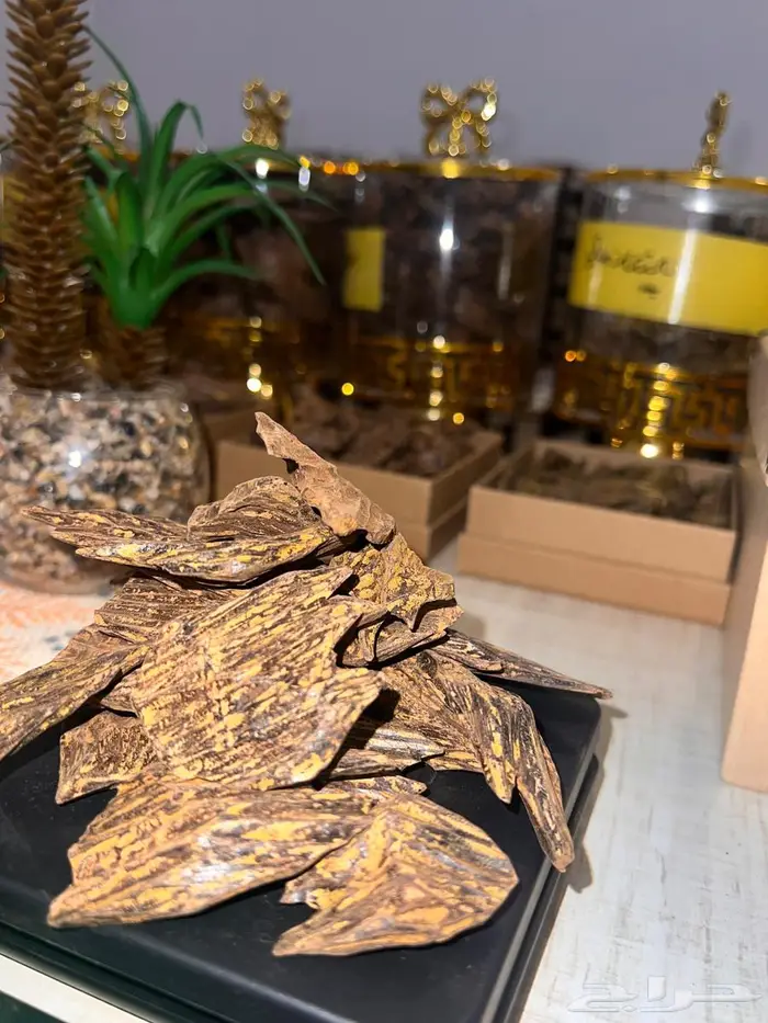 عود ديل سوبر كروكي وكلمنتان ملكي يحملك ومضمون 0