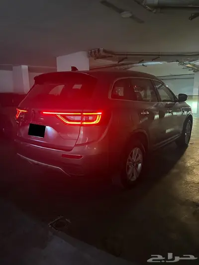 كوليوس استاندر زيرو لون رمادي index