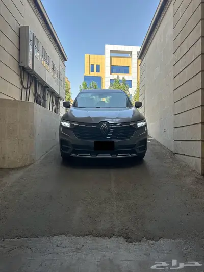 كوليوس استاندر زيرو لون رمادي index