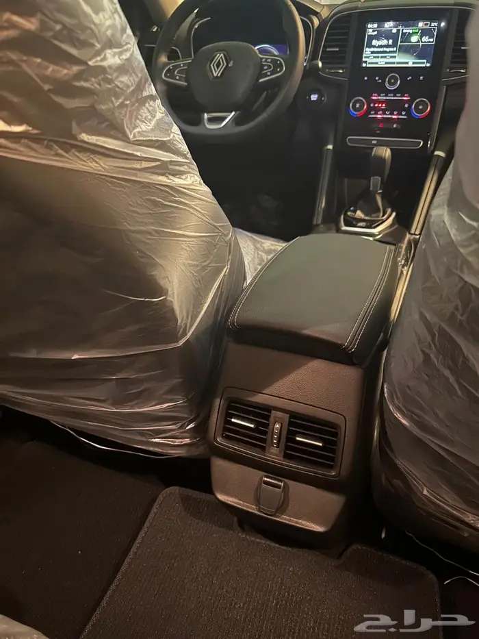كوليوس استاندر زيرو لون رمادي 17