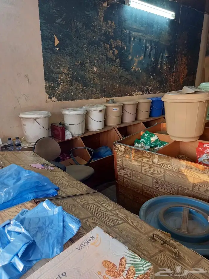 تنومة الشارع العام 2