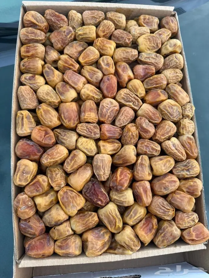 سكري مفتل الدرجة ثانية جملة 1