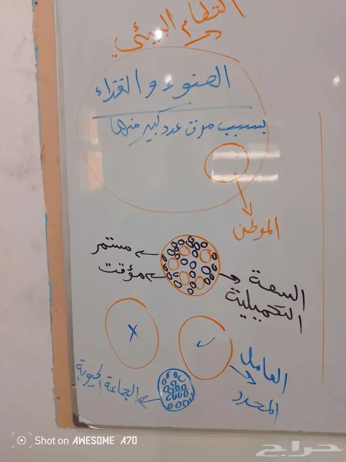 التأسيس وصعوبات التعلم 0