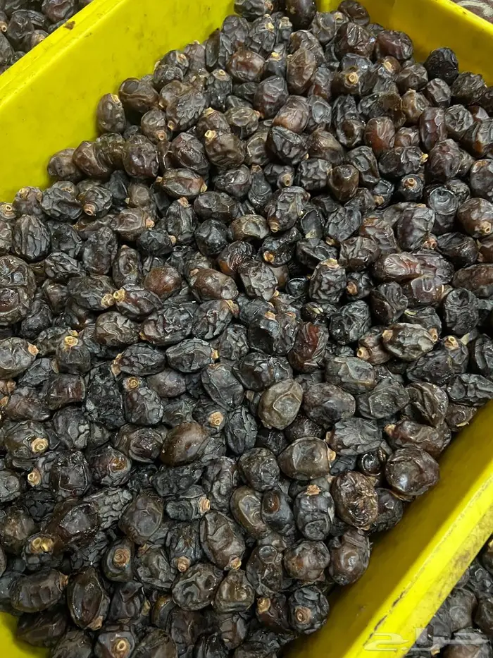 تمر رزيز اسود نظيف 2