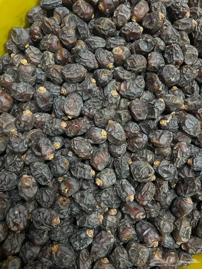 تمر رزيز اسود نظيف 3