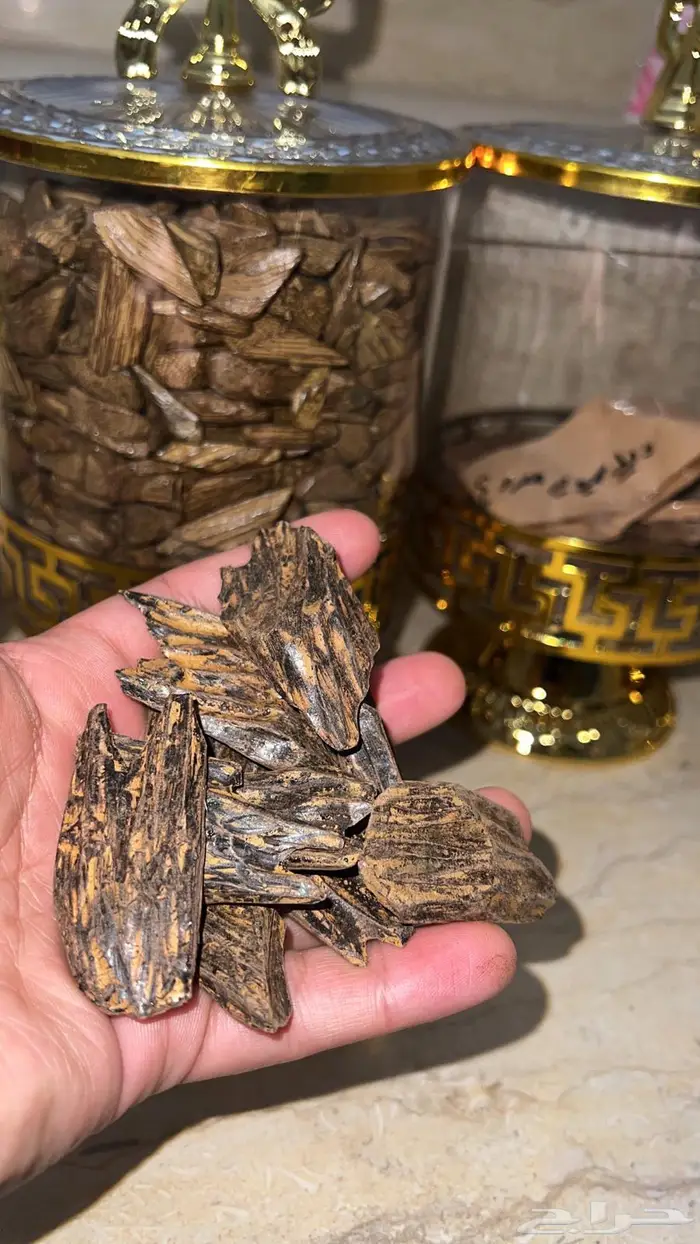 عود ديل سوبر كروكي وكلمنتان ملكي يحملك ومضمون 2