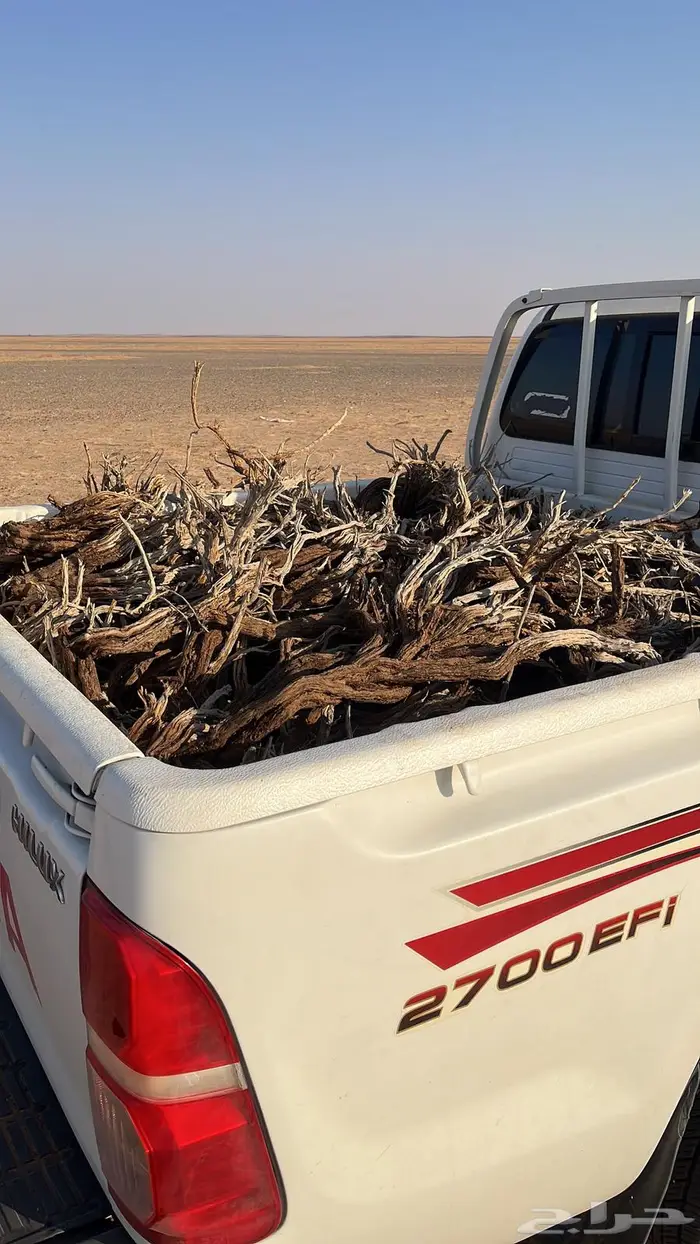 مسحات صندوق رمث طيب و يابس و شرط صف كبريت 2