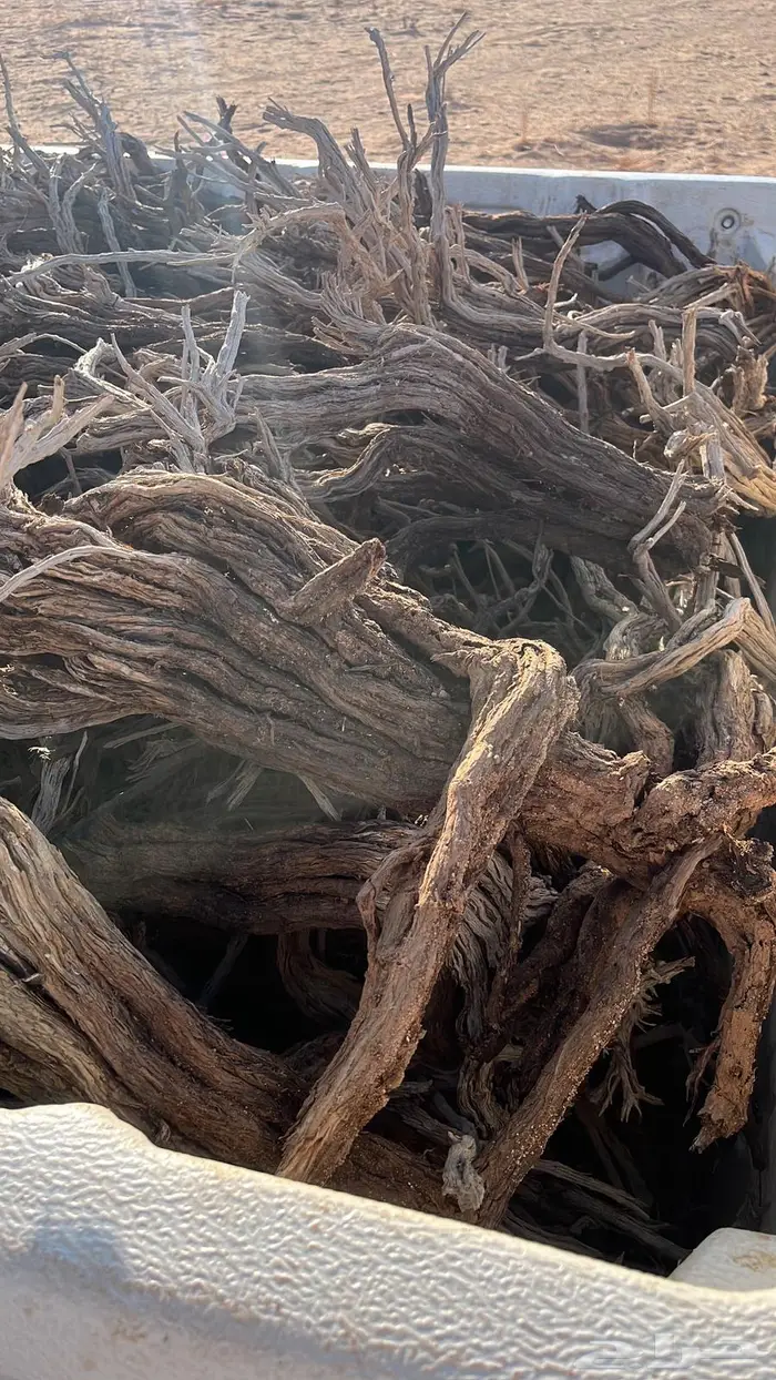 مسحات صندوق رمث طيب و يابس و شرط صف كبريت 1