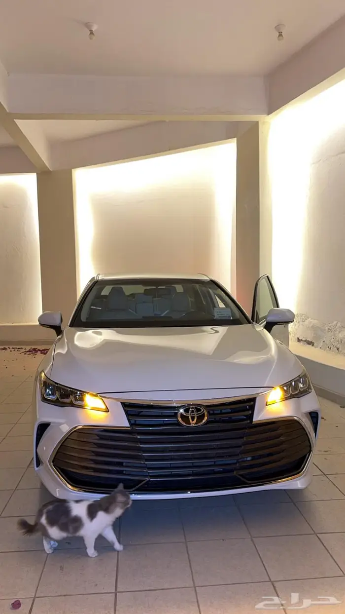 افالون 2022 xle 2