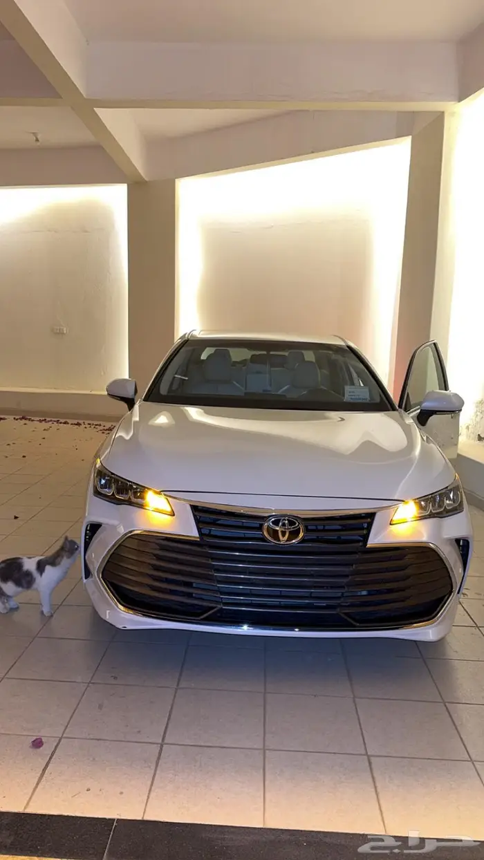 افالون 2022 xle 1