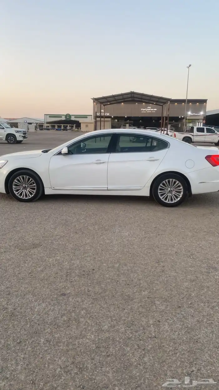 كادينزا 6