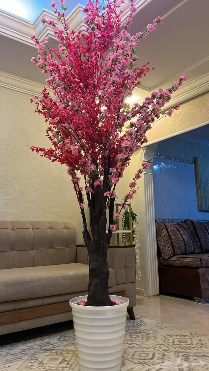 شجره زينه شبه جديده وجوده عاليه 0