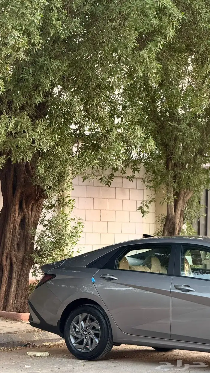 Elantra 2025 model used km 26000 15