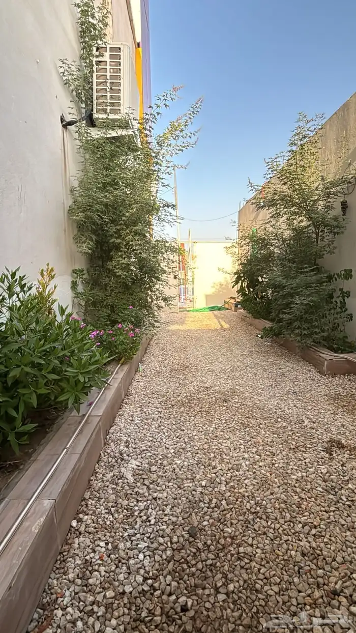 استراحه حي النخيل للأيجار 9