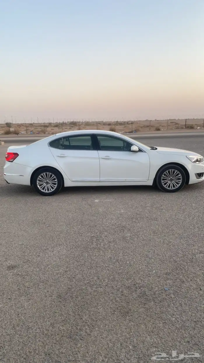 كادينزا 5