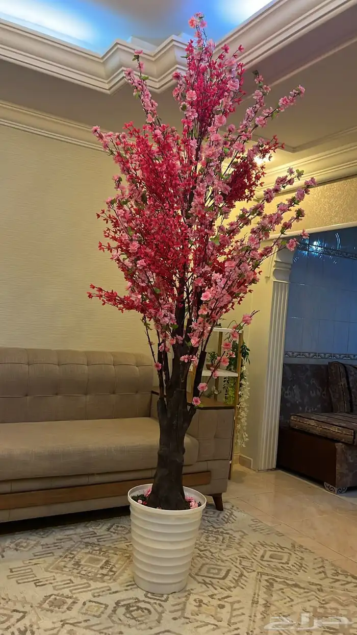 شجره زينه شبه جديده وجوده عاليه 1