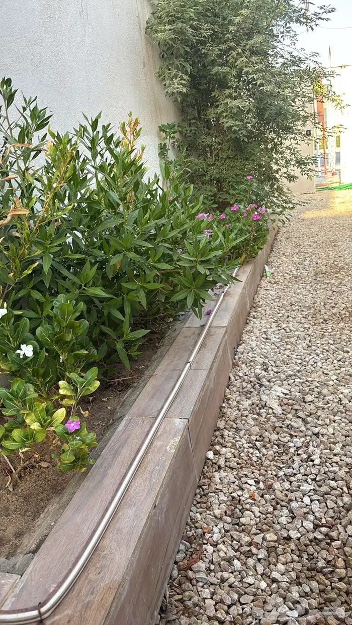 استراحه حي النخيل للأيجار 11