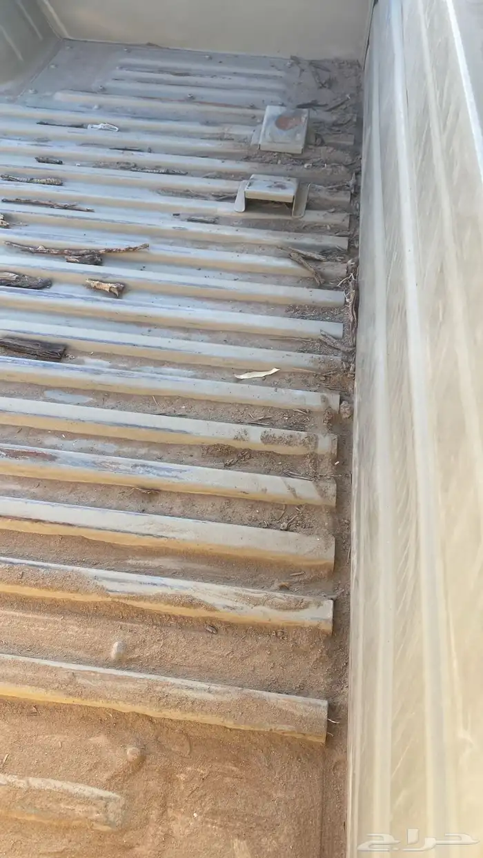سندوق شاص 6