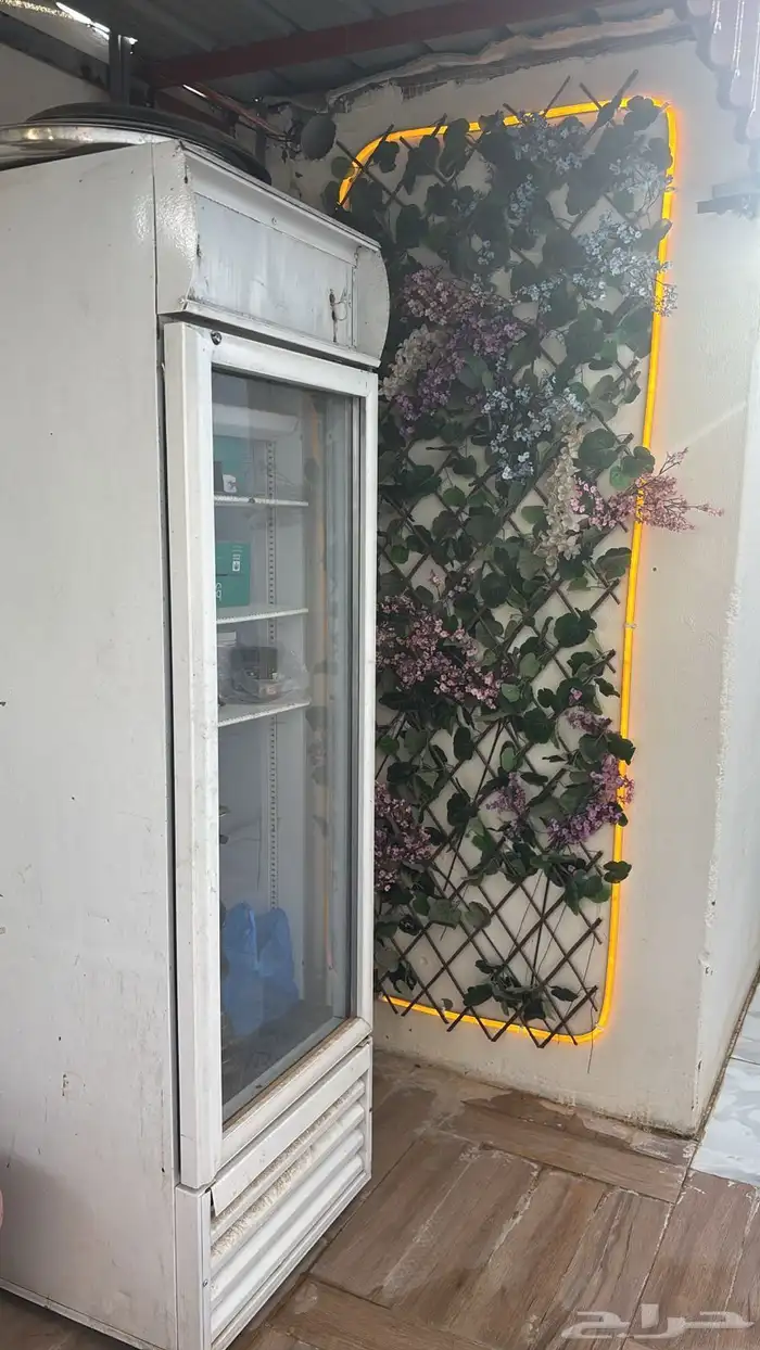 استراحه حي النخيل للأيجار 10