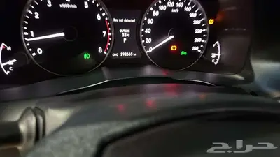 فل الفل بدي وكاله DD index