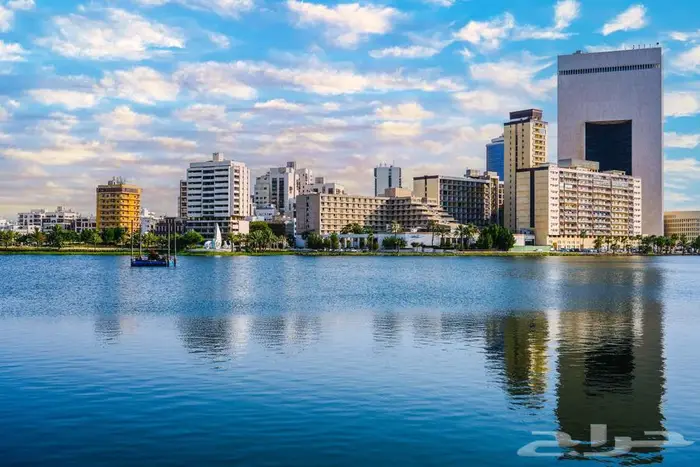 مصور إعلانات ومناسبات وأفراح 6