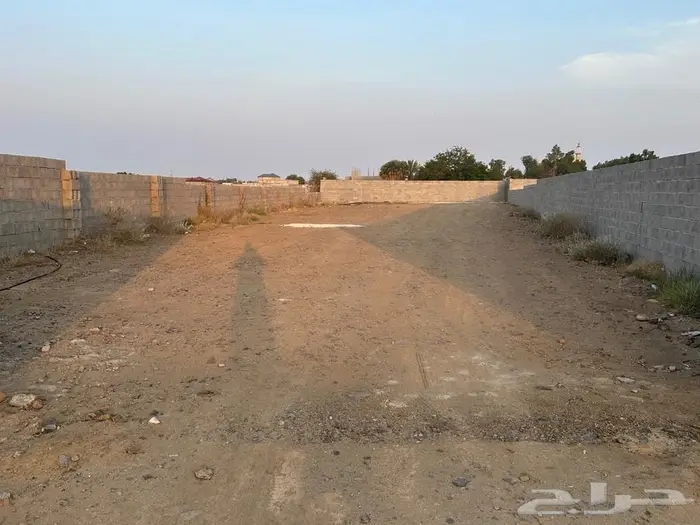 حوش للبيع او للايجار بيش 2