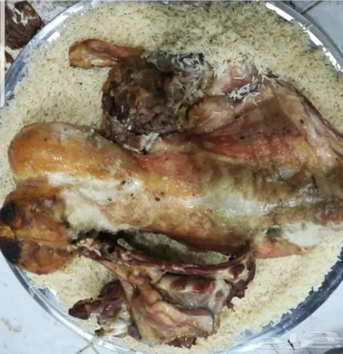 ذبائح حنيذ مندي عربي سليق كوزي مديني كابلي 1