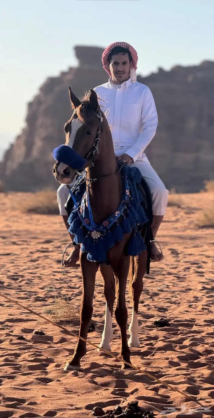 اتوصل وتساب ريال4000 0