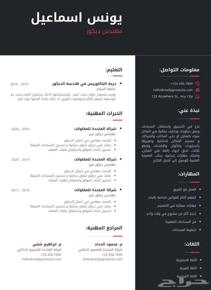 تصميم سيرة ذاتية احترافي CV 2