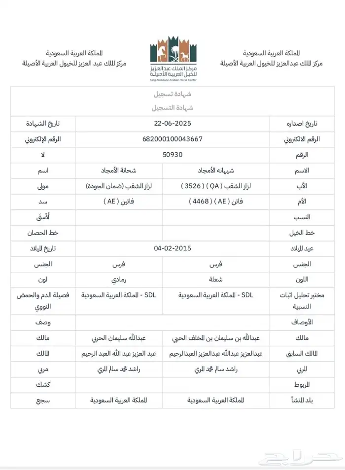 فرس واهو شيخه 5