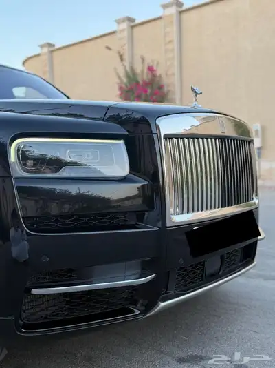 روز كولينان سلفرباج 2019 ناغي index